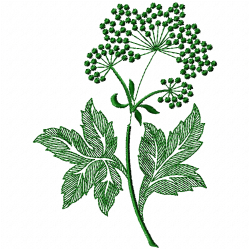 Flowers And Tree Embroidery Design 11